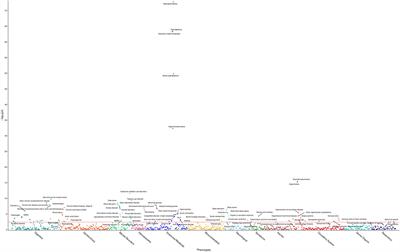 Genome-Wide Identification of Rare and Common Variants Driving Triglyceride Levels in a Nevada Population